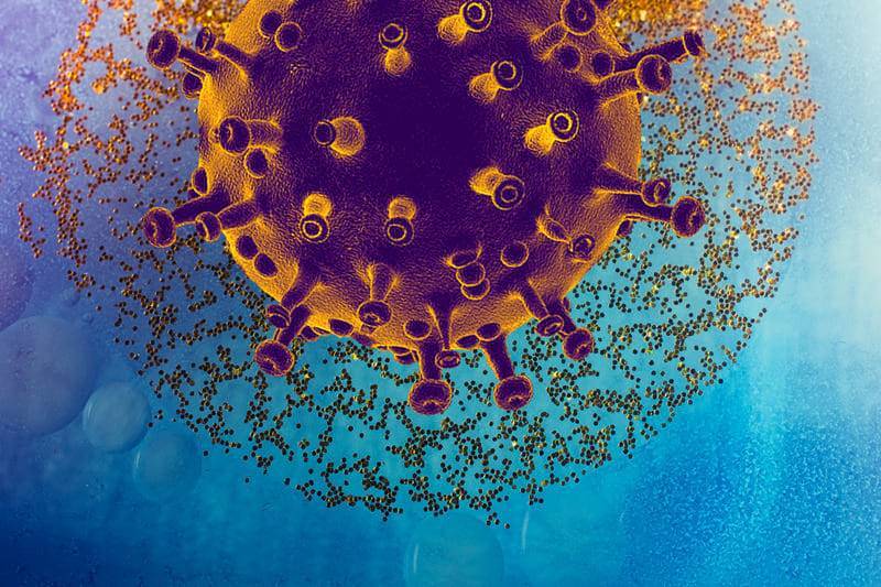 Ученые заявили о мутациях коронавируса с уменьшением летальности - Cursorinfo: главные новости Израиля