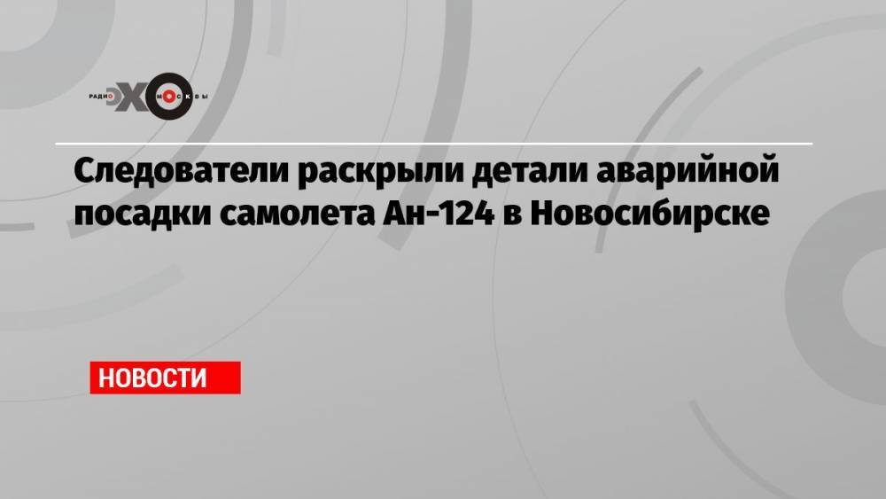 Следователи раскрыли детали аварийной посадки самолета Ан-124 в Новосибирске