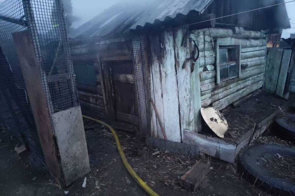В Бурятии из-за включенного обогревателя сгорело 17 куриц