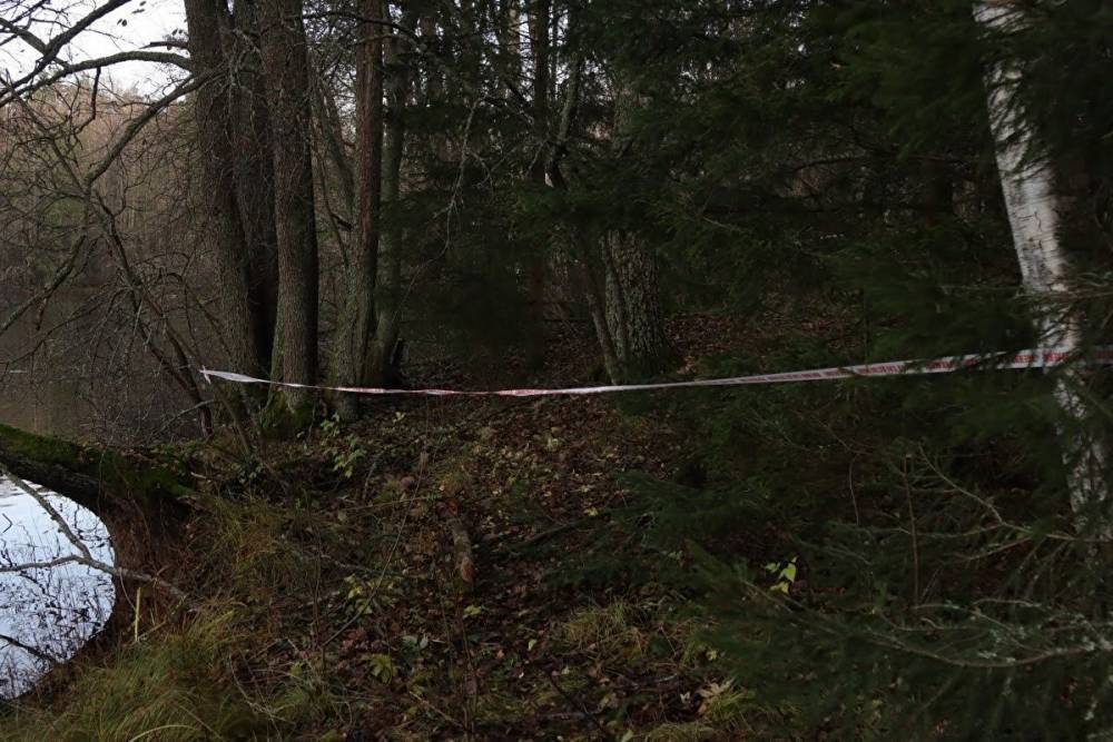 Житель Петербурга нашел в лесу мертвую женщину, по голову закопанную в землю