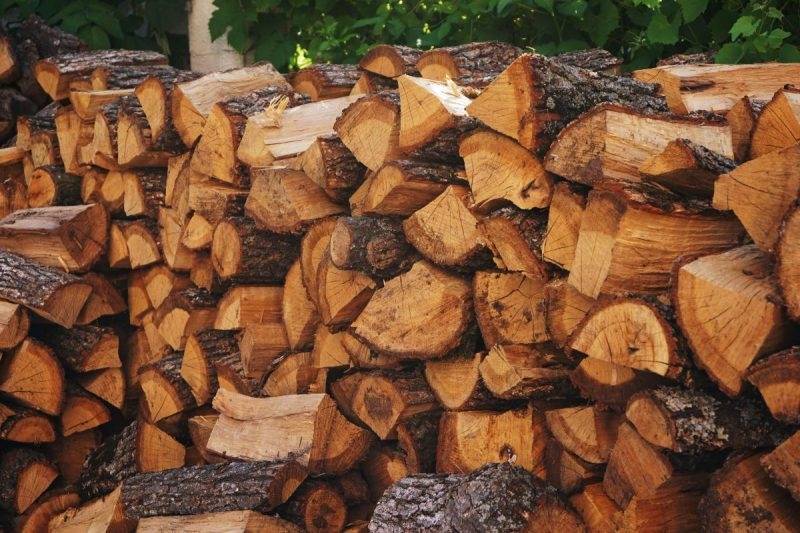 Как заказать льготные дрова для пенсионеров на дачу в период самоизоляции
