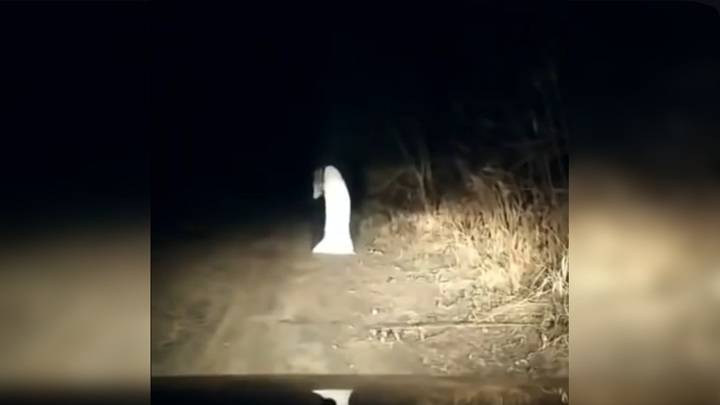Полиция Казахстана разбирается с пугающим сельских жителей призраком