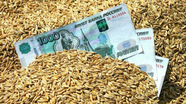 В России станет невозможной продажа зерна без специальных документов