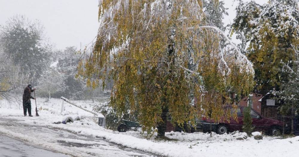 Мороз, снег, местами гололед и туман: прогноз погоды в Украине на среду, 18 ноября