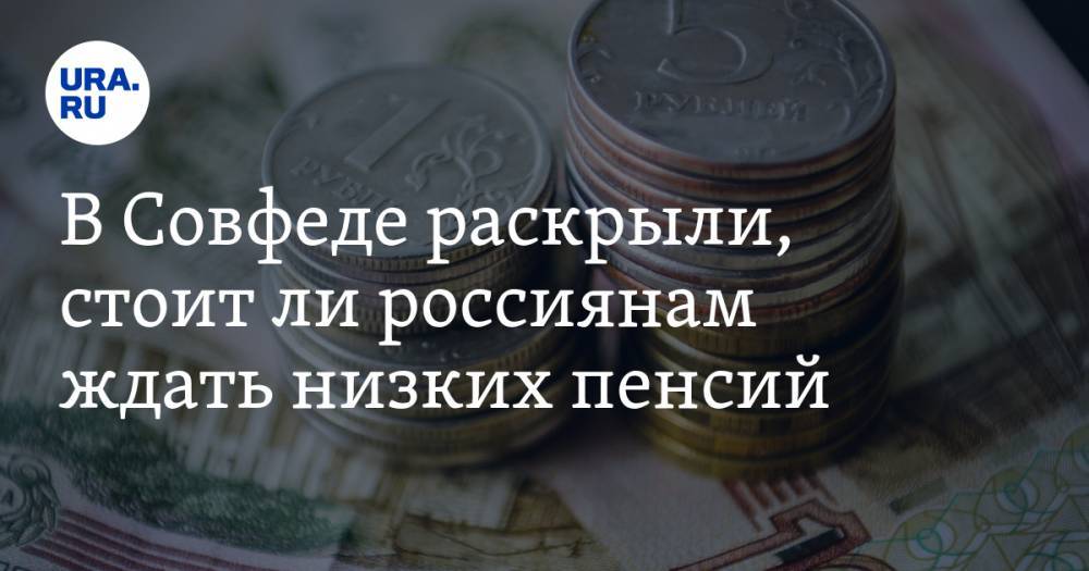 В Совфеде раскрыли, стоит ли россиянам ждать низких пенсий