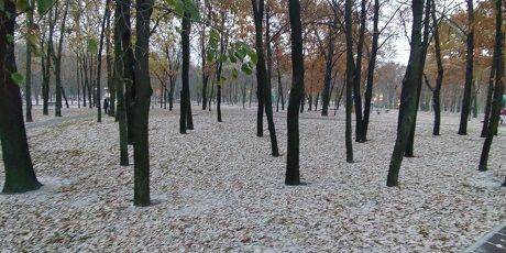 Киев засыпало снегом (ФОТО)