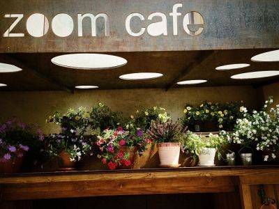 Из-за фестиваля ЛГБТ в онлайн приложении Zoom Роспотребнадзор закрыл кафе с тем же названием — перепутали