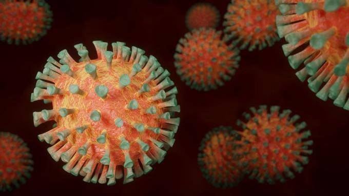 В Петербурге подтвердили еще 71 смерть от коронавируса