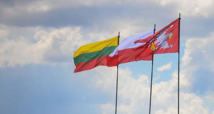 "Как на пепелище": в Литве испугались ухудшения отношений с Польшей