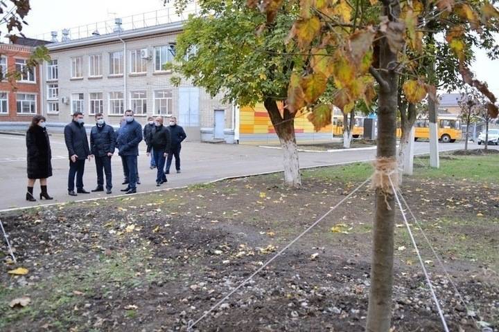 Во двор краснодарской школы №66 пересадили 35 лип с улицы Московской