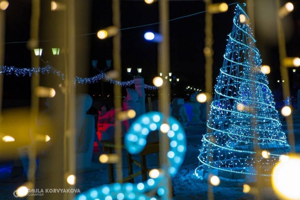 Вкус Нового года: 16 искусственных и живых елей украсят Петрозаводск