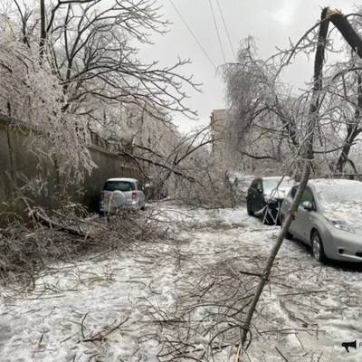 Более ста тысяч человек в Приморье остались без электричества из-за непогоды