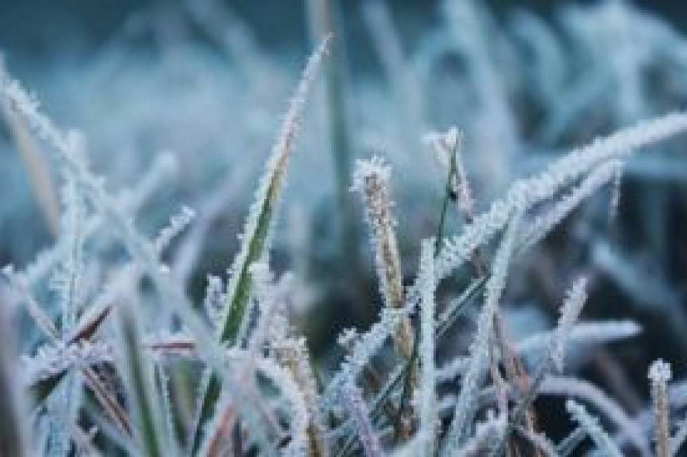 Заморозки и похолодание: синоптики дали прогноз погоды на 19 ноября