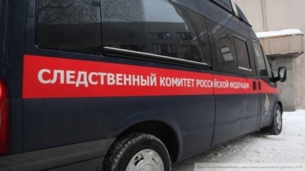 СК проверяет информацию об избиении двойняшек в детском центре Новосибирска