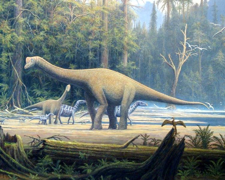 Учёные обнаружили в Аргентине останки нового вида гигантских динозавров