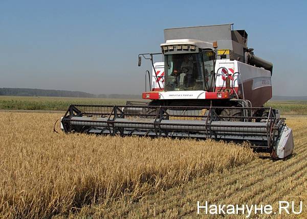 В Челябинской области собрали миллион тонн зерна