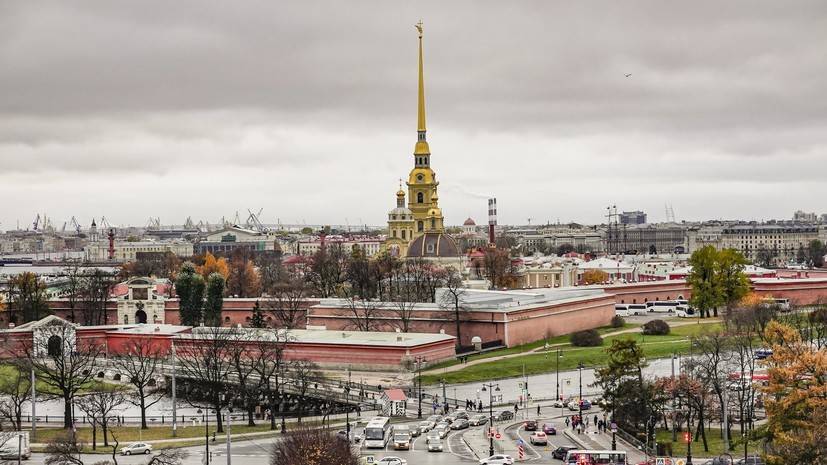 Власти Петербурга назвали одну из главных проблем города в пандемию