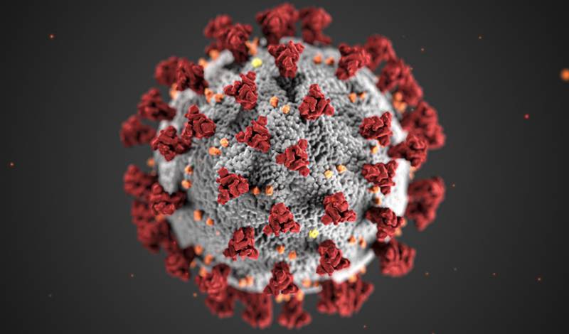 В США от коронавируса COVID-19 умерли уже более 250 000 человек