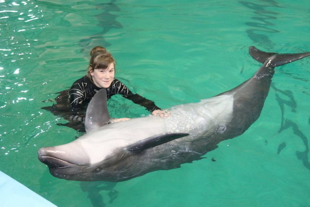 В Петербурге назвали дату последнего представления с дельфинами