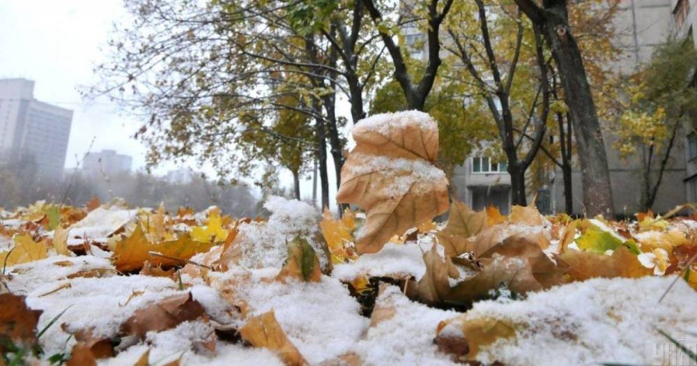 Морозы, дождь и мокрый снег: прогноз погоды на пятницу, 20 ноября