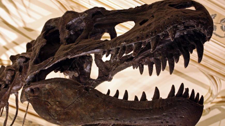 Древние паразиты превращали титанозавров в «зомби»