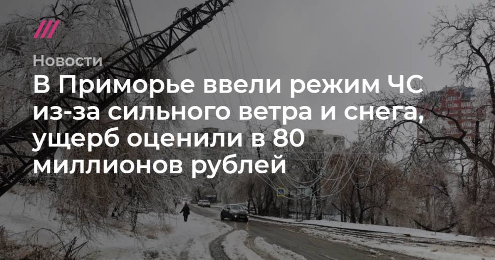 В Приморье ввели режим ЧС из-за сильного ветра и снега, ущерб оценили в 80 миллионов рублей