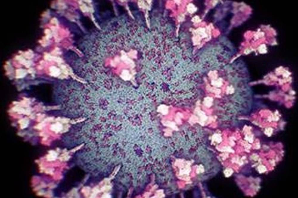 Бессимптомные больные COVID-19 реже передают вирус, - исследование