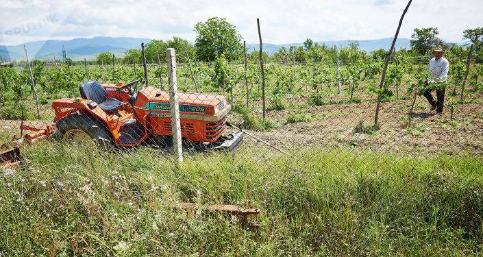 В Грузии более 120 тысяч фермеров воспользовались льготами на топливо