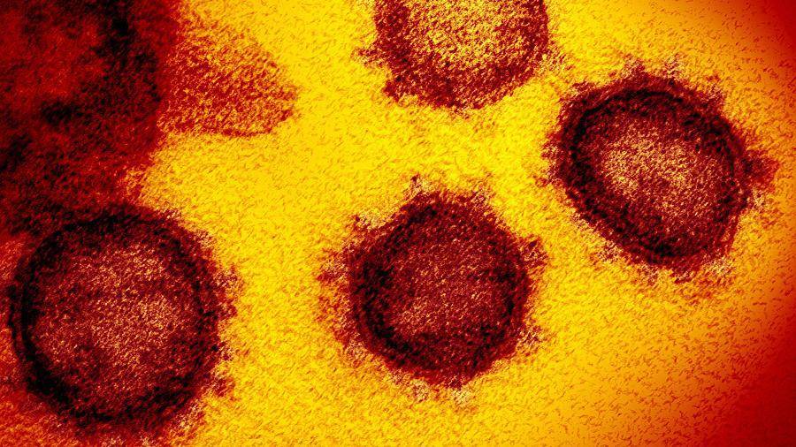 Ученые спрогнозировали вспышки кори из-за пандемии коронавируса