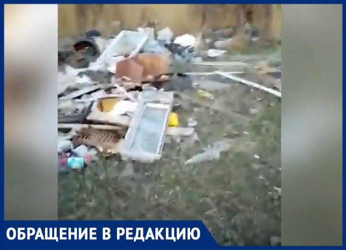 «Горы мусора и мертвый скот»: люди показали стихийные свалки в окрестностях Волгодонска