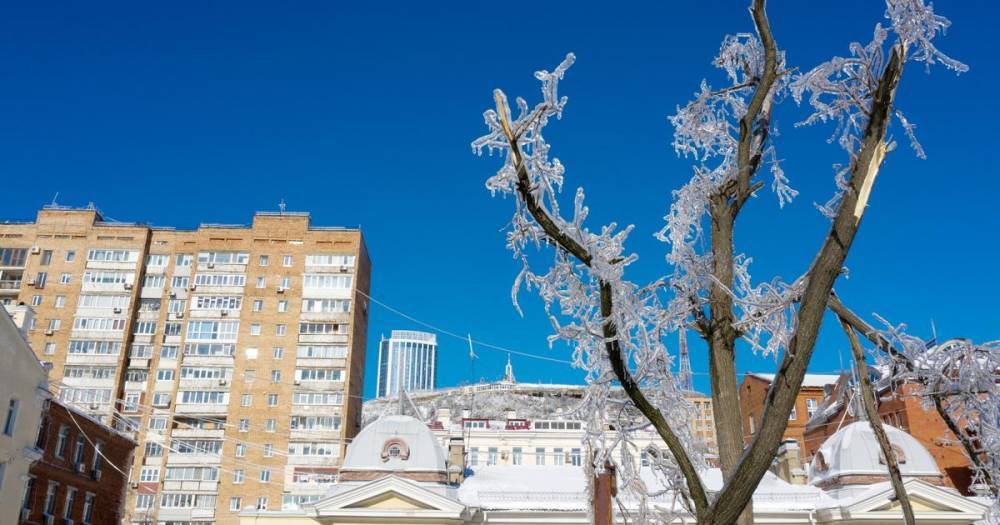 Свет в дома жителей Владивостока планируют вернуть за три дня