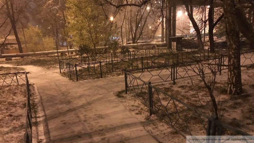 Снег и порывистый ветер ожидаются в Москве в воскресенье