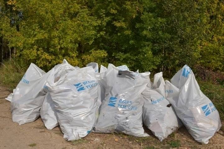 Волонтеры очистили 118 км прибрежной территории Марий Эл