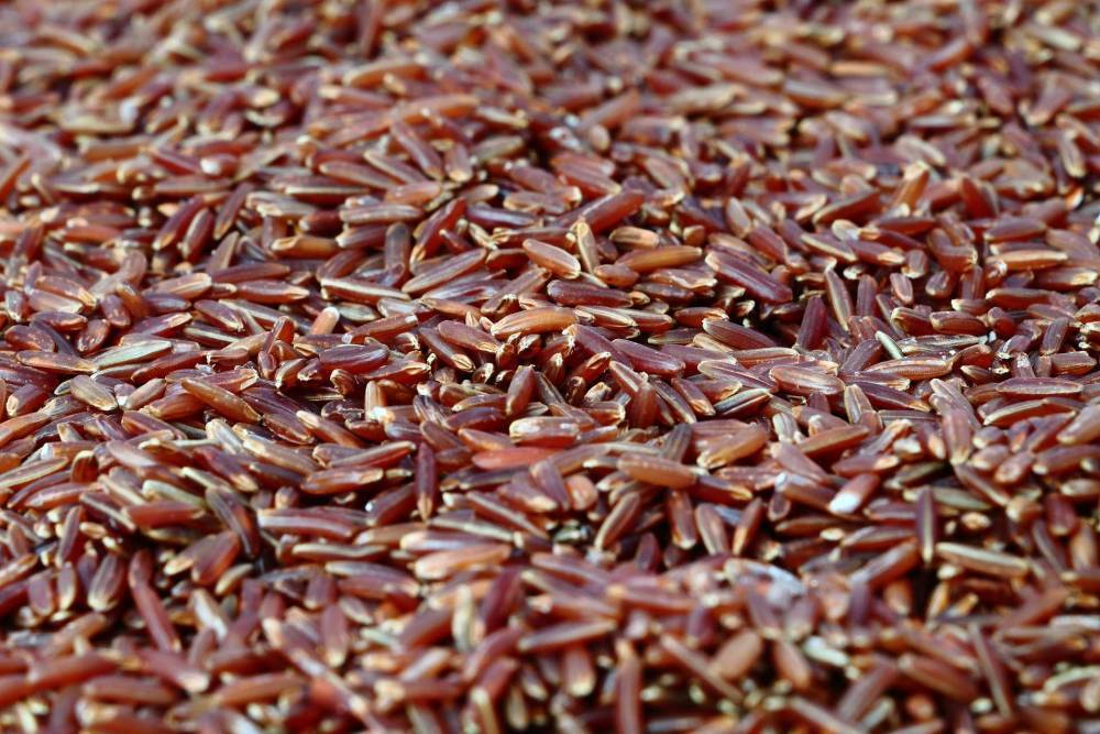 Учёные рассказали, что красный дрожжевой рис уменьшает уровень холестерина в организме человека