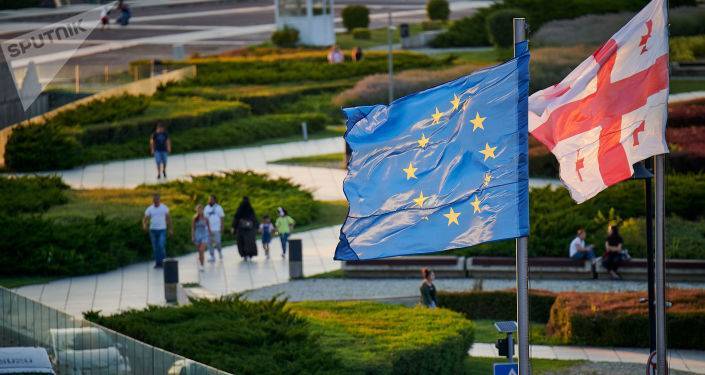 Представительство ЕС в Грузии: стране нужен эффективный парламент