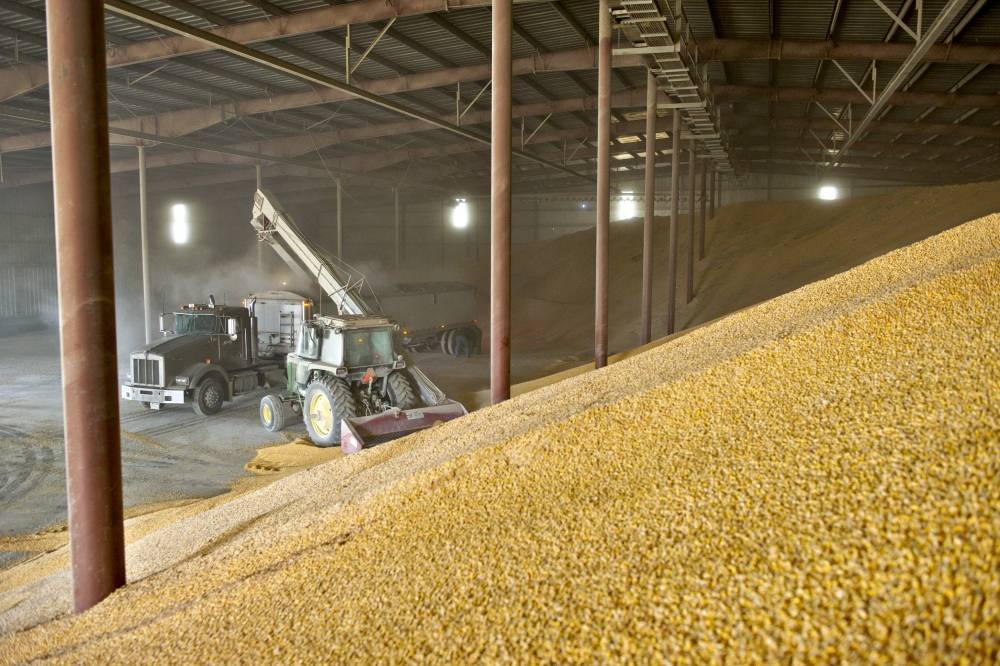 Киевский чиновник пытался украсть зерно на 2,8 млн