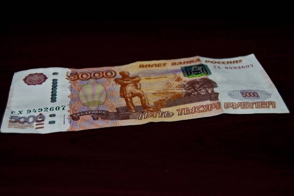 Поддельную купюру в 5 000 рублей обнаружили в Ижевске