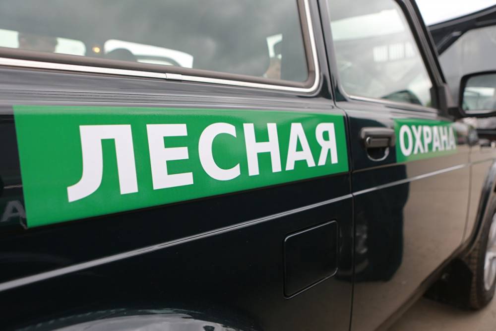 В Челябинской области сняли противопожарный режим