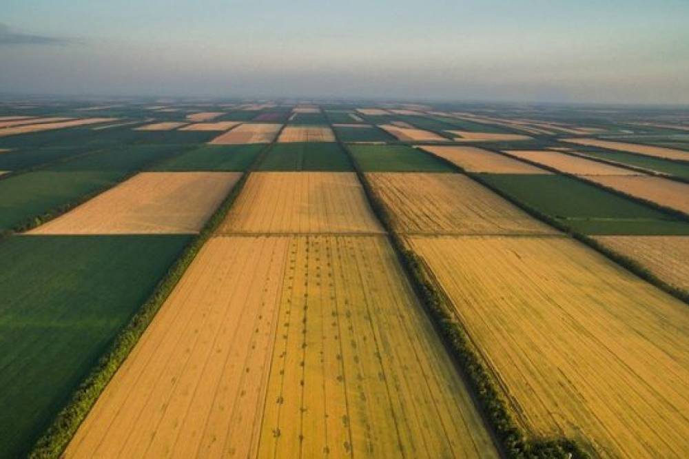 Снижение НДС для аграрного сектора: Украинцев предупредили о росте стоимости хлеба, масла, муки и других продуктов