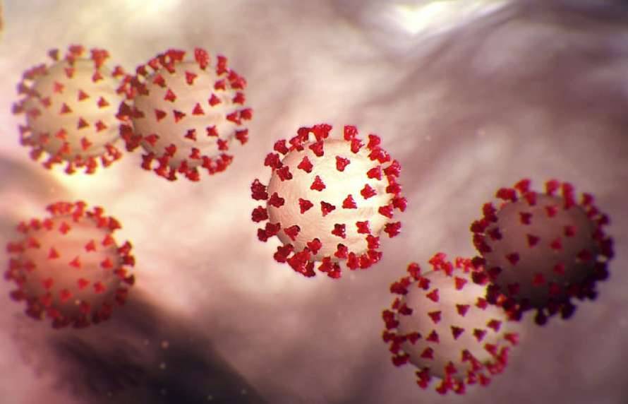 Число заражений коронавирусом в мире превысило 59 миллионов: подробности