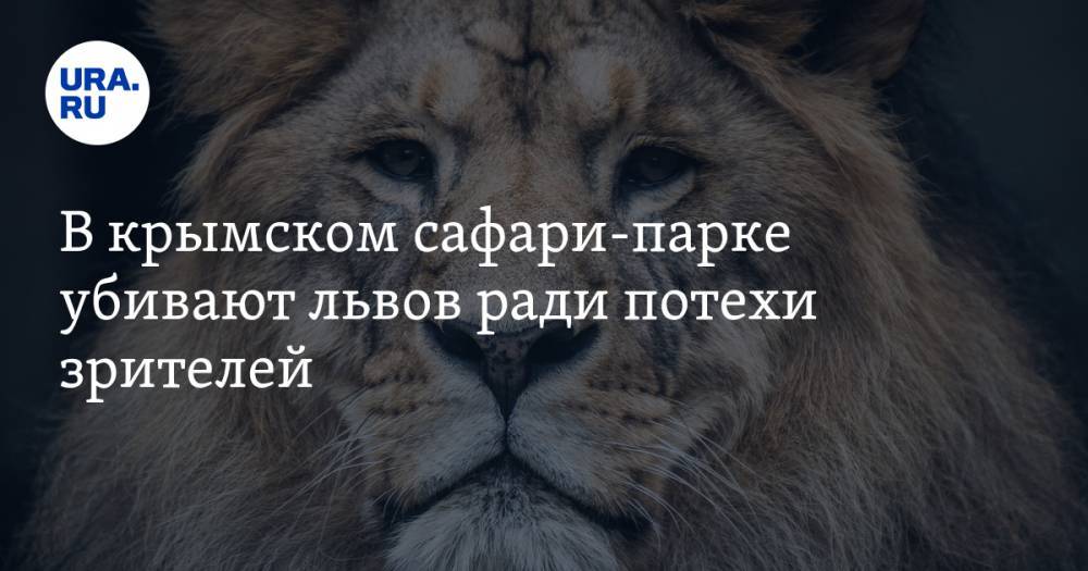 В крымском сафари-парке убивают львов ради потехи зрителей