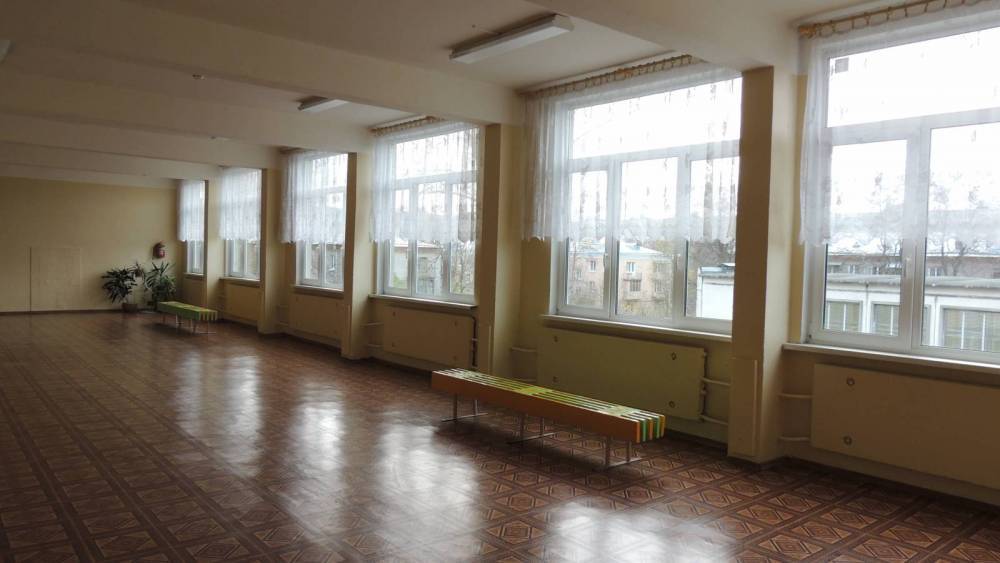 В Петербурге педагог нецензурно отчитала школьника за попытку уйти в туалет