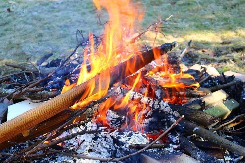 Ущерб от лесных пожаров в ДНР составил почти 4 млн рублей