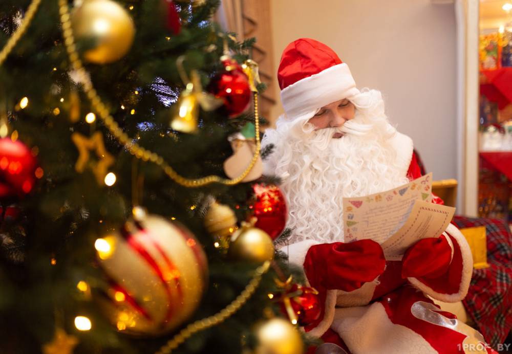 Домик Деда Мороза вскоре появится в Минском зоопарке