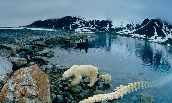 Полярный шелковый путь: Китай готовится составить конкуренцию России в Арктике