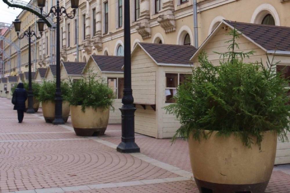 В Петербурге к Новому году установят более 4 тыс. елей в вазонах