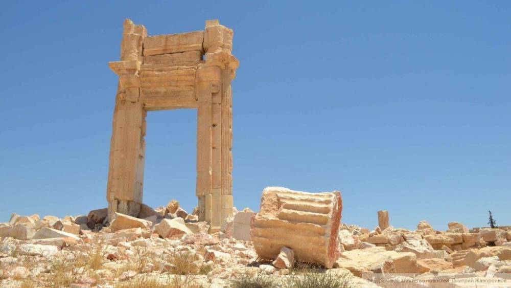 Власти Сирии организовали для детей поездку к древним руинам Катна в Хомсе