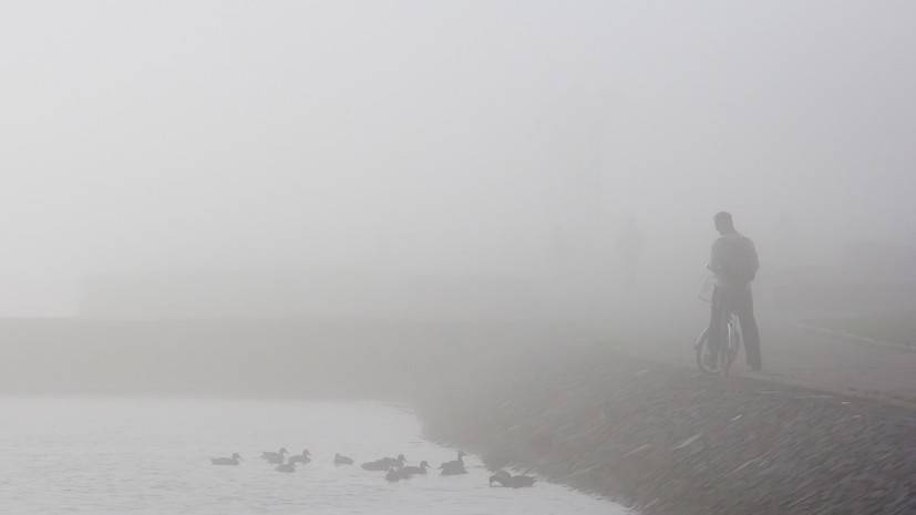 МЧС предупредило о тумане в Удмуртии