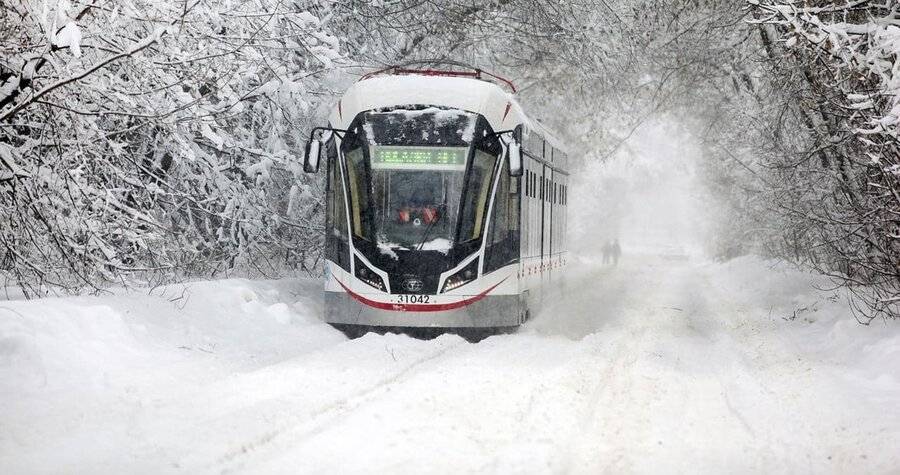 Постоянный снежный покров в Москве может образоваться 1 декабря