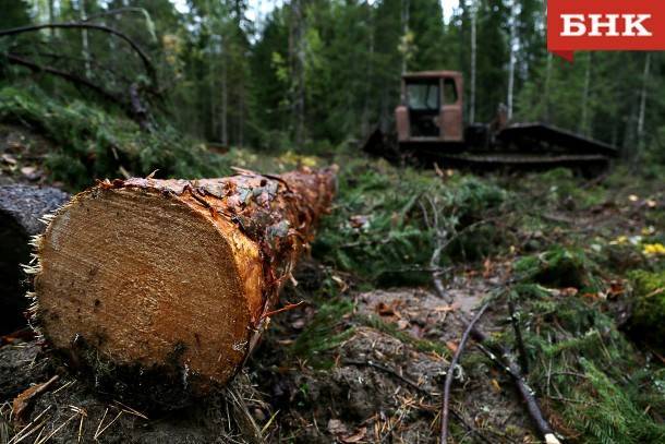 Жительница Объячево заплатит неустойку за перепродажу «льготной» древесины